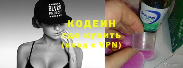 прущие грибы Михайловск