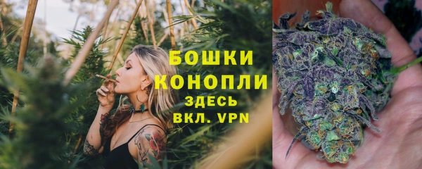 прущие грибы Баксан