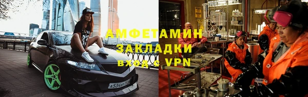 прущие грибы Баксан