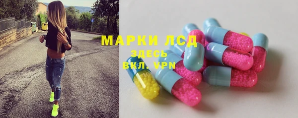 прущие грибы Баксан